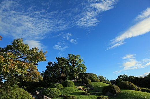 e0190885_1851383.jpg