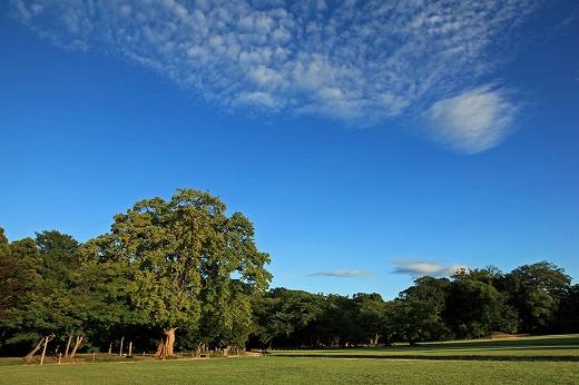 e0190885_18514413.jpg
