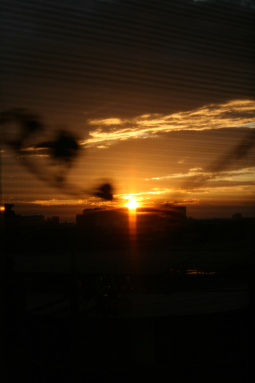 d0016587_18384596.jpg
