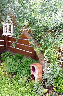 c0207890_029211.jpg