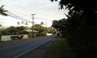 d0073192_2159337.jpg