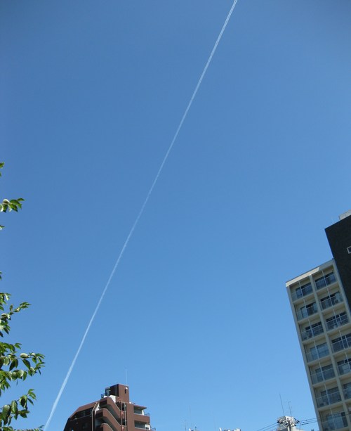 d0160692_202935100.jpg