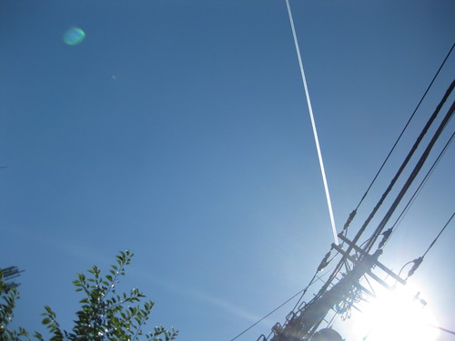d0160692_20303793.jpg
