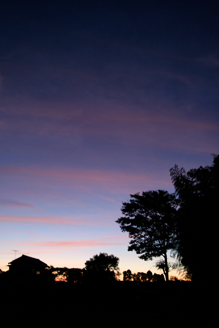 d0100095_8471351.jpg