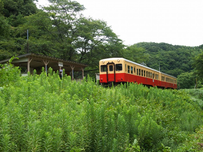 f0224100_2313319.jpg
