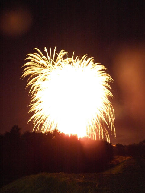 f0020302_22334999.jpg