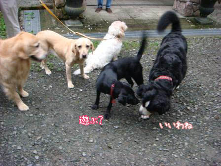 f0064906_15505922.jpg