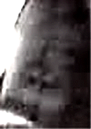 e0103408_13535821.gif