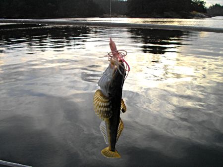 b0051109_724281.jpg