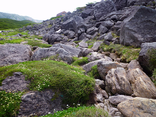 d0170615_14123643.jpg