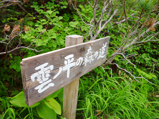 d0170615_144101.jpg