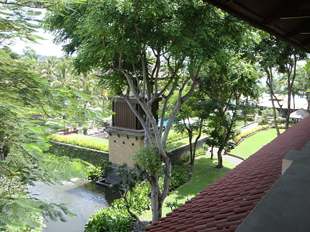 d0005519_15393327.jpg