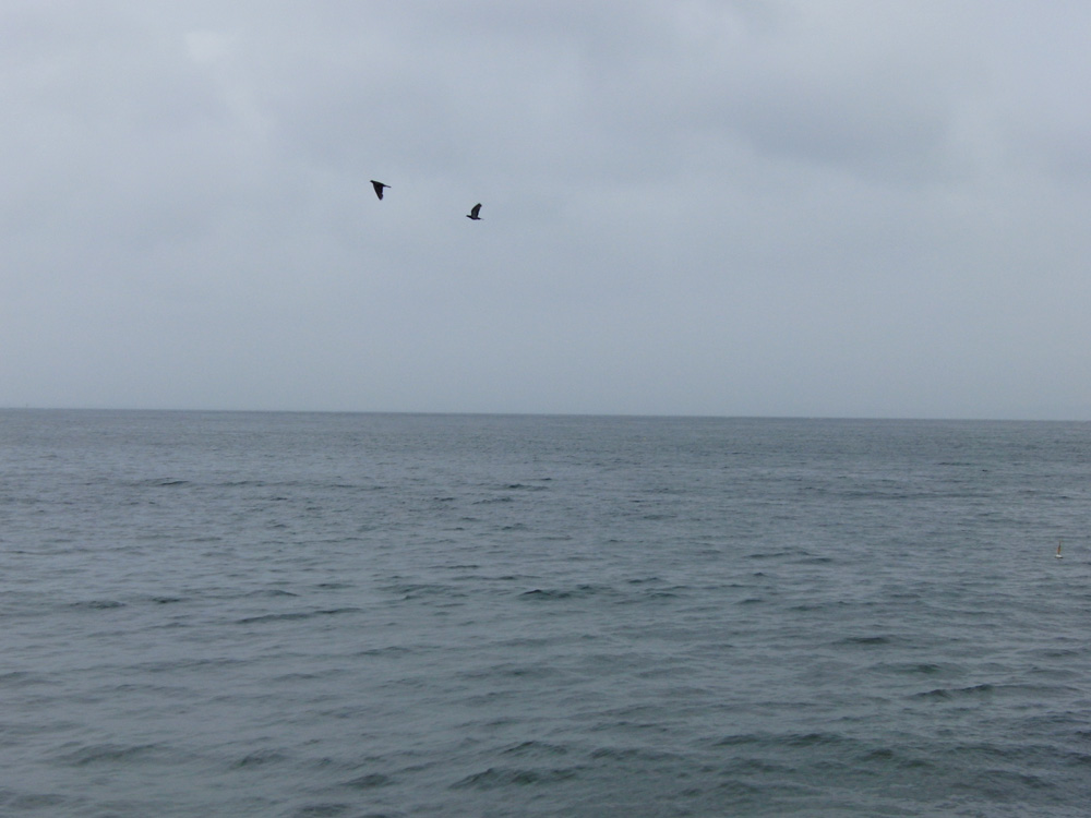 f0180529_11551.jpg