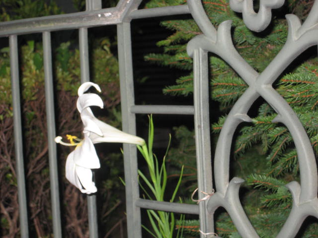 e0166032_21293360.jpg
