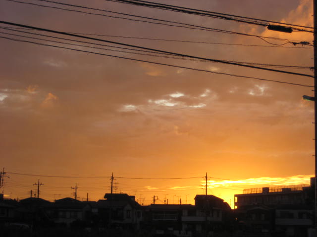 e0166032_7133456.jpg