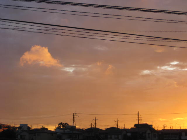 e0166032_7134410.jpg