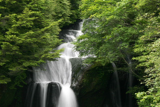 e0064133_23105522.jpg