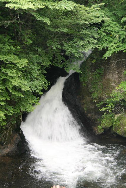e0064133_23111394.jpg