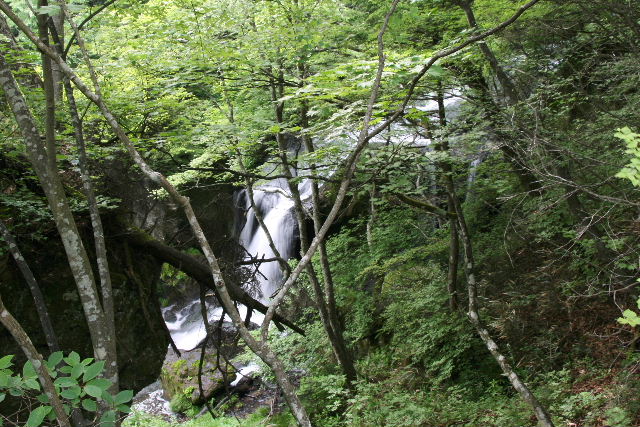 e0064133_23112783.jpg