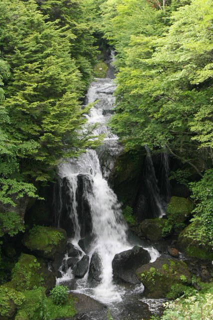 e0064133_2311875.jpg
