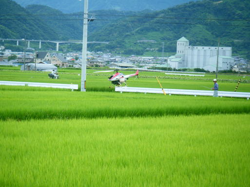f0008935_9153773.jpg