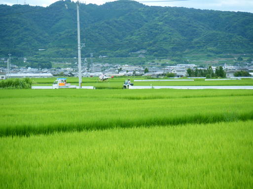 f0008935_915427.jpg