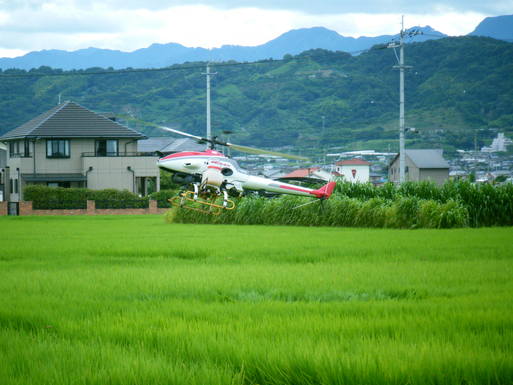f0008935_9161389.jpg