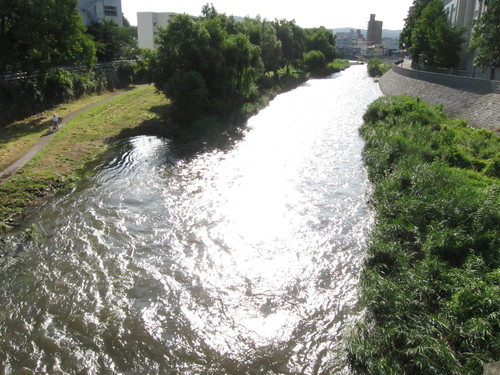 d0156438_8501277.jpg