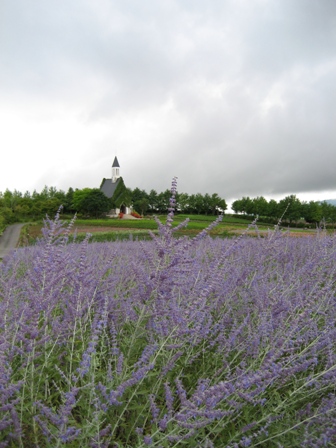 f0051638_22351857.jpg