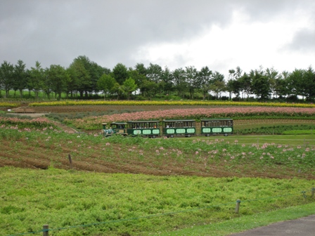 f0051638_2249471.jpg
