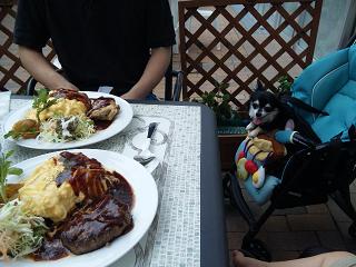 c0121141_225611.jpg