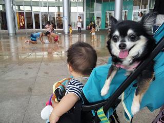 c0121141_2311683.jpg