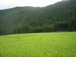 a0054948_9283931.jpg