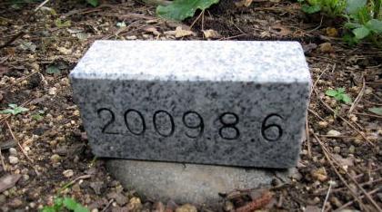 c0147952_23105195.jpg