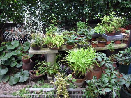 c0147952_2394679.jpg