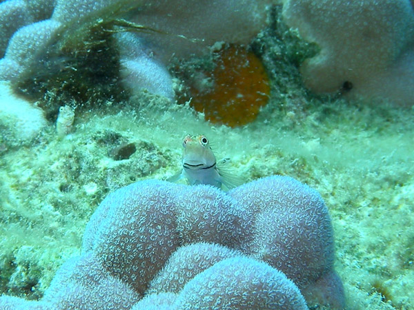 b0062363_21202820.jpg