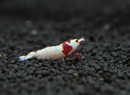 f0224970_21152419.jpg