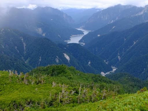 f0054075_2256040.jpg