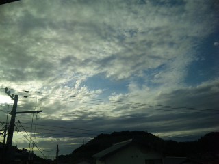c0046979_2244455.jpg