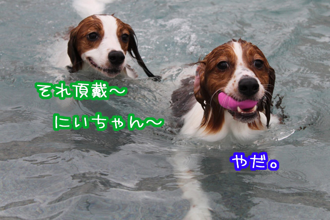 a0076980_2251339.jpg