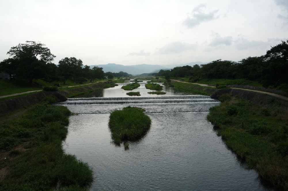f0190781_1884092.jpg