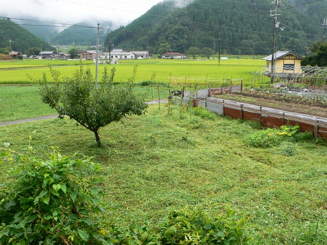 b0042882_0351291.jpg