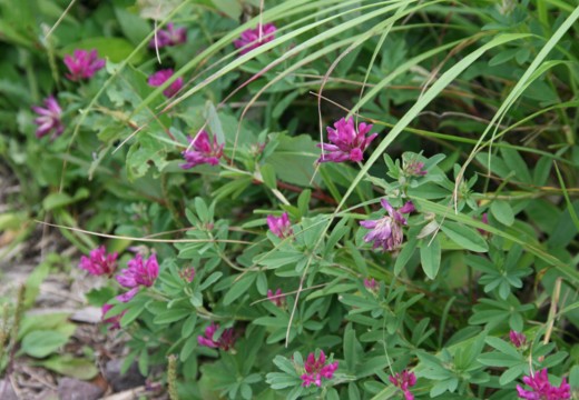 c0144185_1019653.jpg
