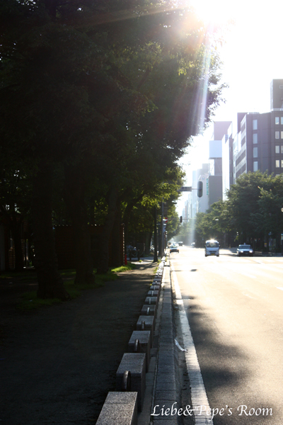 f0001895_9335096.jpg