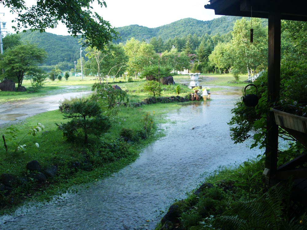 b0005596_7525465.jpg