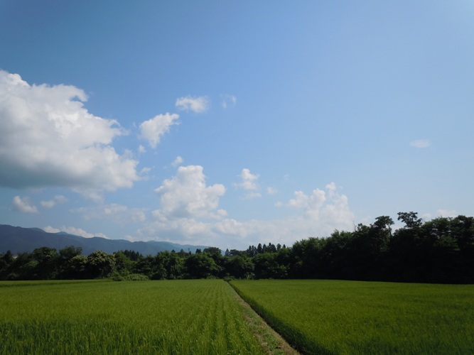 d0085096_14431668.jpg