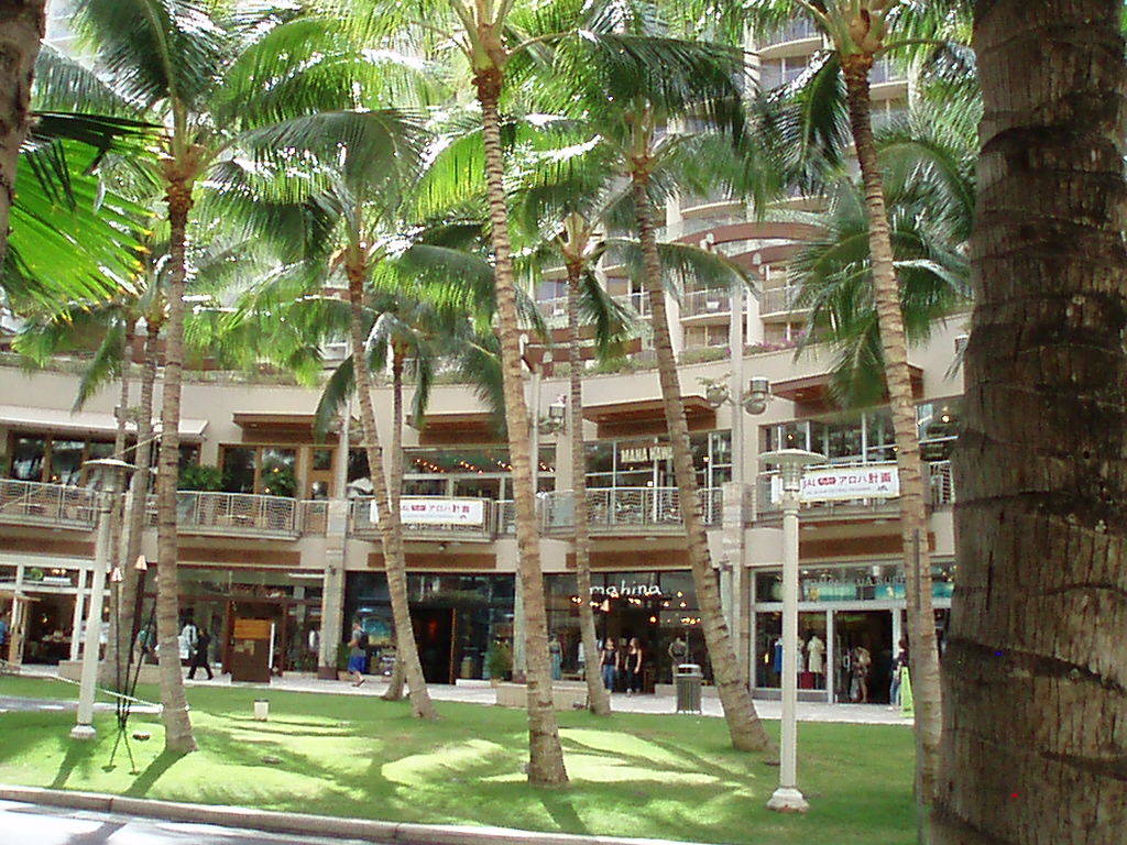 f0005602_1324241.jpg