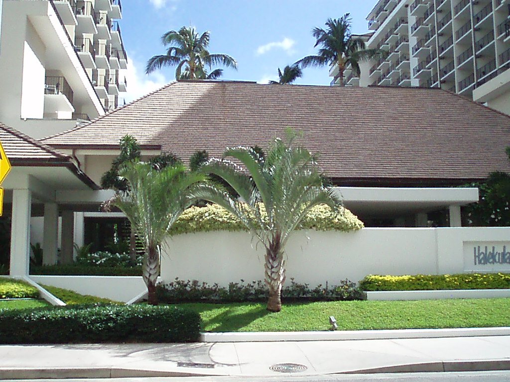 f0005602_1345345.jpg