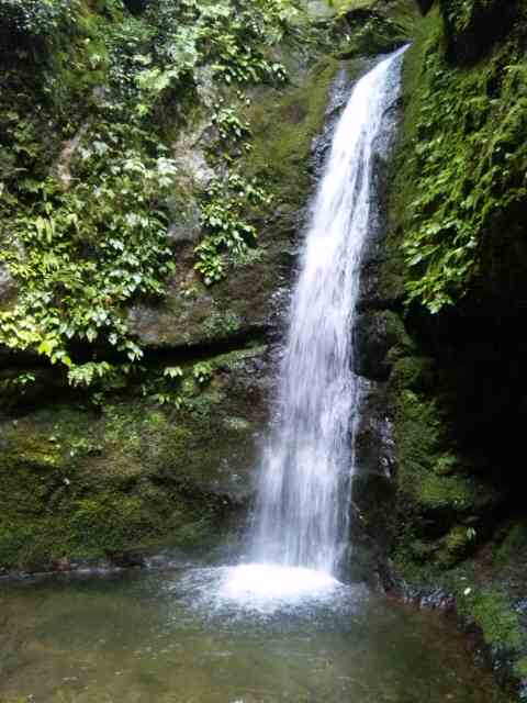 e0131904_1825152.jpg