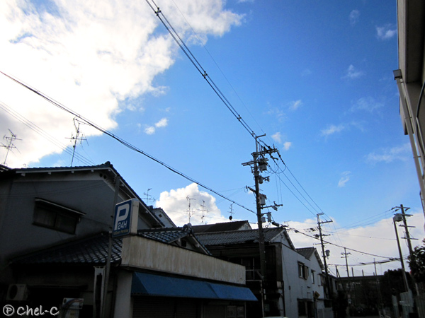 a0154706_11354375.jpg